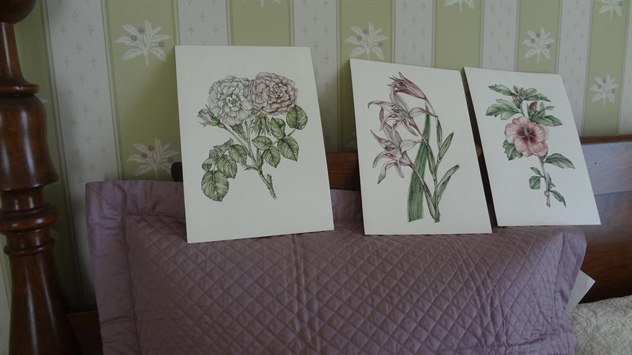 Ботанические акварели